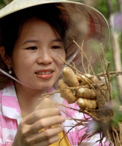 chiet-xuat-nghe-trang